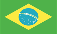 .com.br domain image