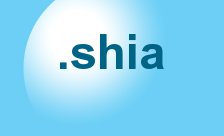 Shia Islam flag