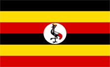 .com.ug domain image